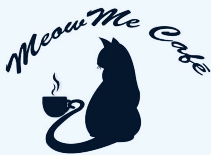 คาเฟ่น้องแมว สุดน่ารัก me maew cafe